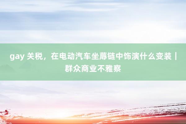 gay 关税，在电动汽车坐蓐链中饰演什么变装｜群众商业不雅察