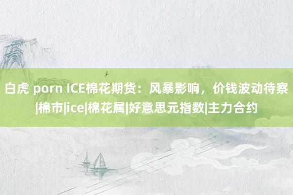 白虎 porn ICE棉花期货:风暴影响,价钱波动待察|棉市|ice|棉花属|好意思元指数|主力合约
