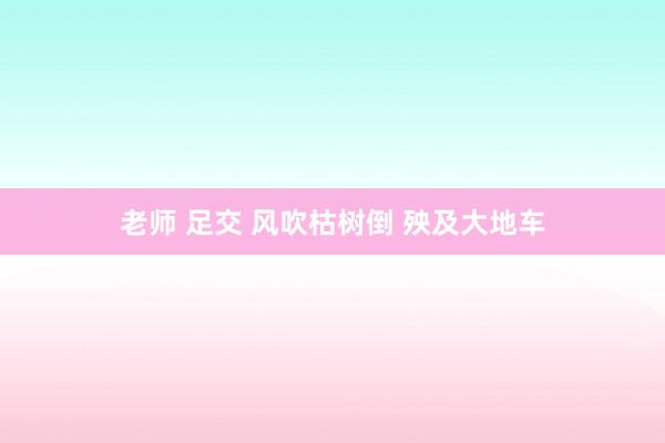 老师 足交 风吹枯树倒 殃及大地车