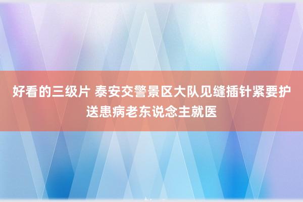 好看的三级片 泰安交警景区大队见缝插针紧要护送患病老东说念主就医