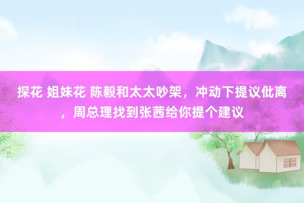 探花 姐妹花 陈毅和太太吵架，冲动下提议仳离，周总理找到张茜给你提个建议