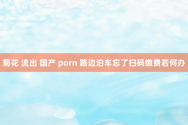 菊花 流出 国产 porn 路边泊车忘了扫码缴费若何办