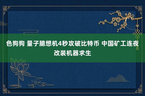 色狗狗 量子臆想机4秒攻破比特币 中国矿工连夜改装机器求生