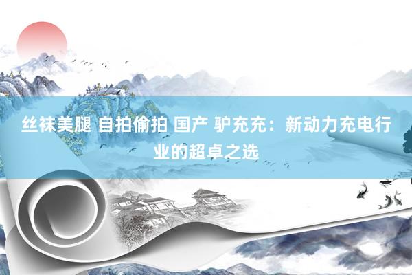 丝袜美腿 自拍偷拍 国产 驴充充：新动力充电行业的超卓之选