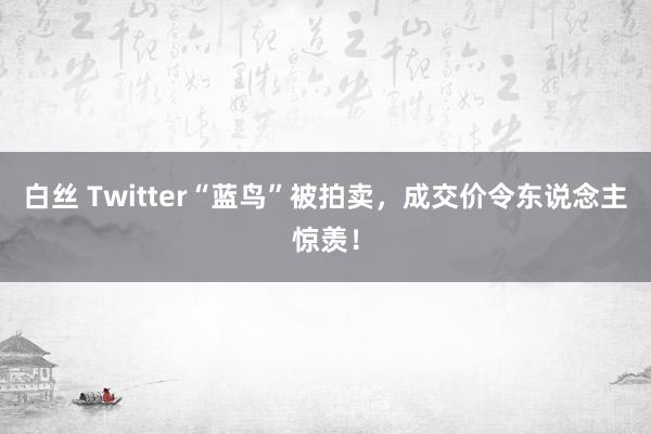 白丝 Twitter“蓝鸟”被拍卖，成交价令东说念主惊羡！