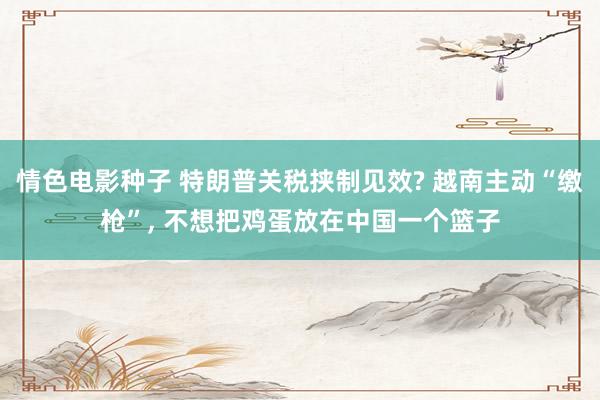 情色电影种子 特朗普关税挟制见效? 越南主动“缴枪”, 不想把鸡蛋放在中国一个篮子