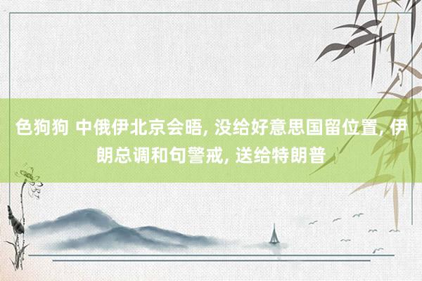 色狗狗 中俄伊北京会晤, 没给好意思国留位置, 伊朗总调和句警戒, 送给特朗普