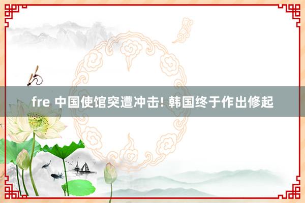 fre 中国使馆突遭冲击! 韩国终于作出修起
