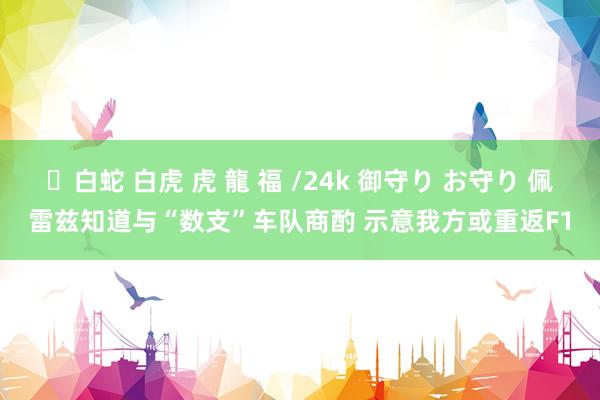 ✨白蛇 白虎 虎 龍 福 /24k 御守り お守り 佩雷兹知道与“数支”车队商酌 示意我方或重返F1