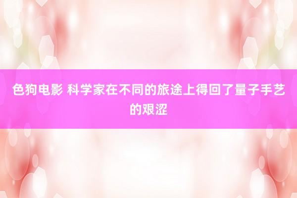 色狗电影 科学家在不同的旅途上得回了量子手艺的艰涩