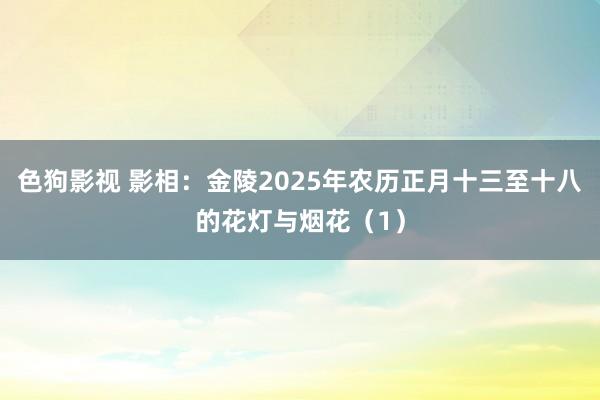 色狗影视 影相：金陵2025年农历正月十三至十八的花灯与烟花（1）