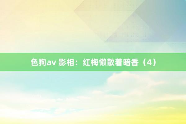 色狗av 影相：红梅懒散着暗香（4）