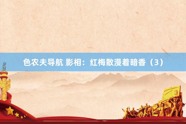 色农夫导航 影相：红梅散漫着暗香（3）