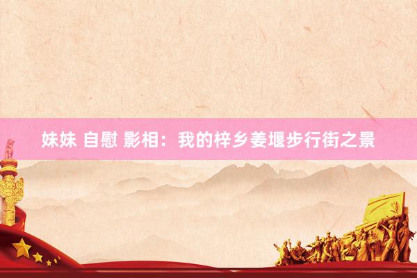 妹妹 自慰 影相：我的梓乡姜堰步行街之景