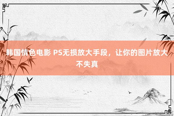 韩国情色电影 PS无损放大手段，让你的图片放大不失真