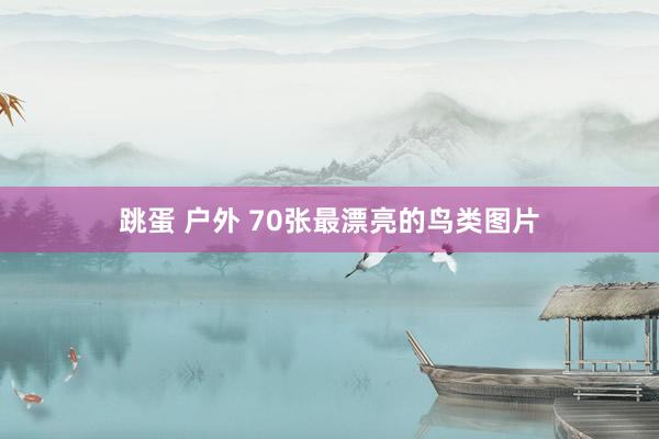 跳蛋 户外 70张最漂亮的鸟类图片