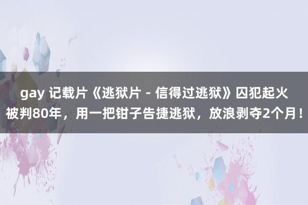 gay 记载片《逃狱片 - 信得过逃狱》囚犯起火被判80年，用一把钳子告捷逃狱，放浪剥夺2个月！