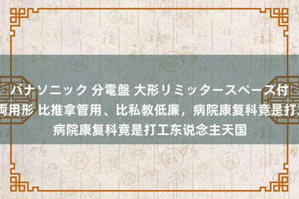 パナソニック 分電盤 大形リミッタースペース付 露出・半埋込両用形 比推拿管用、比私教低廉，病院康复科竟是打工东说念主天国
